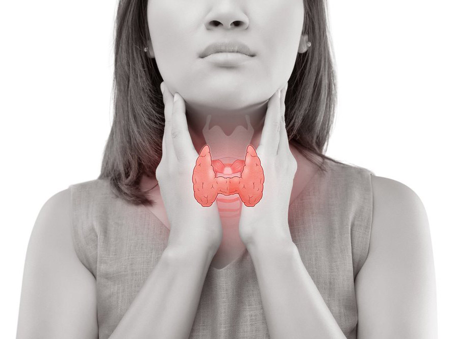 щитоподібна залоза узд вінниця